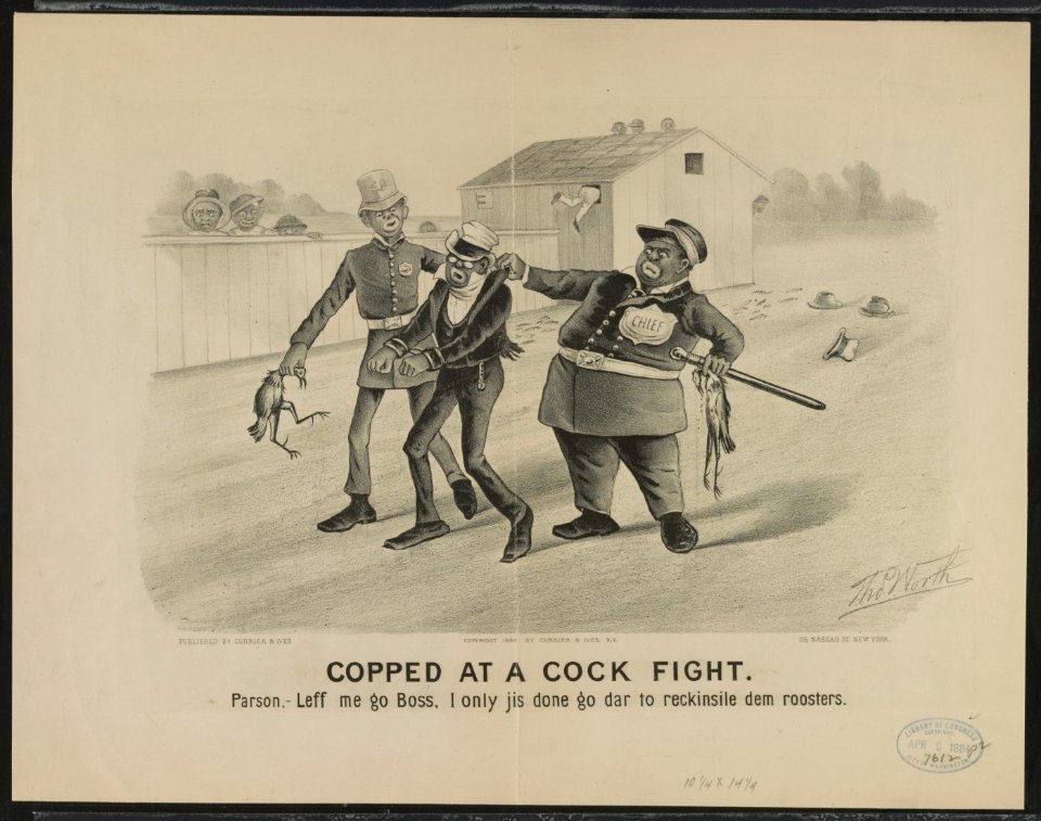 Copped at a cock fight LCCN91722806