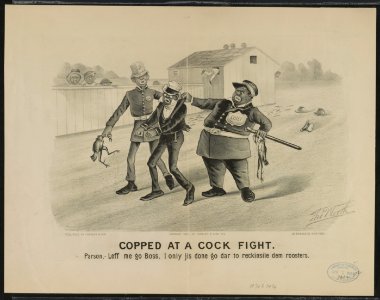 Copped at a cock fight LCCN91722806