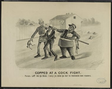 Copped at a cock fight LCCN91722806