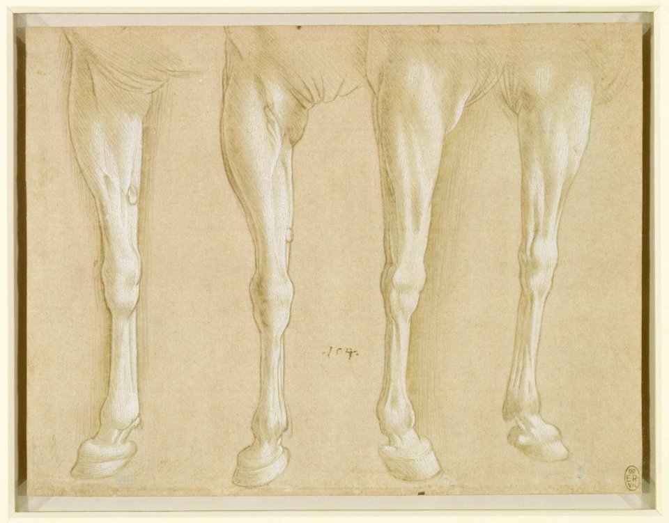 Copy after Leonardo da Vinci - Horses' fore-legs c.1490-1500, RCIN 912297