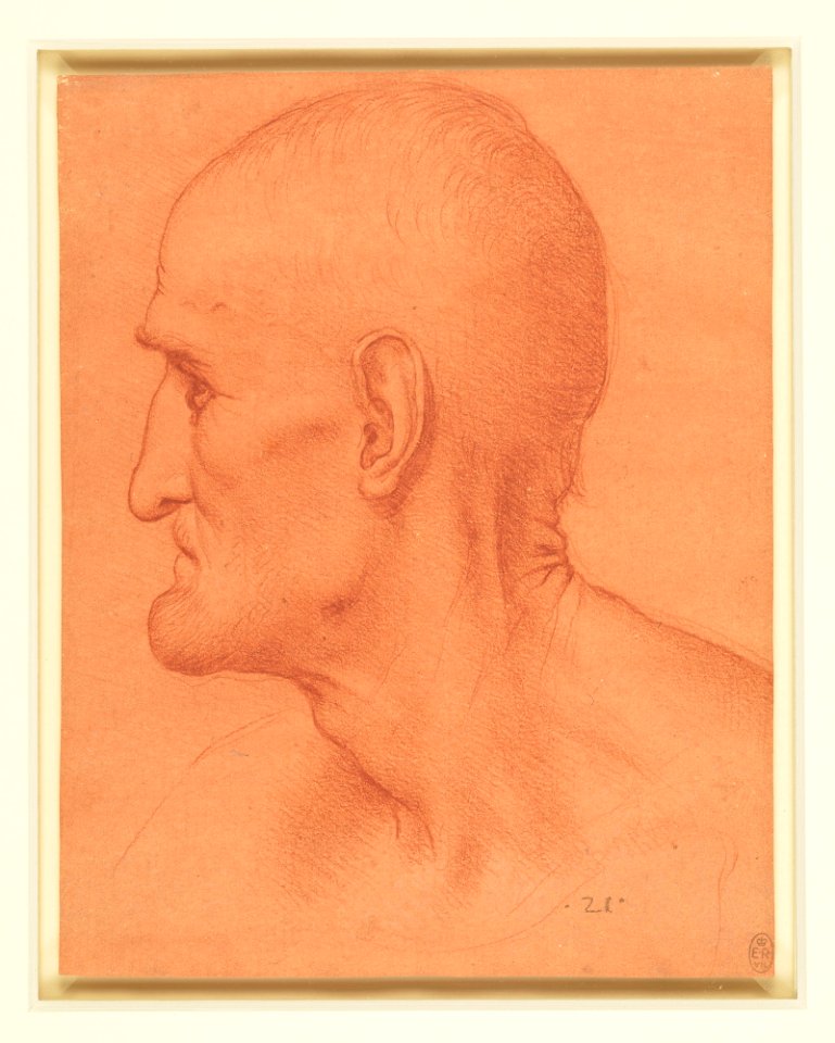 Copy after Leonardo da Vinci - RCIN 912550, The head of St Simon in the Last Supper c.1515