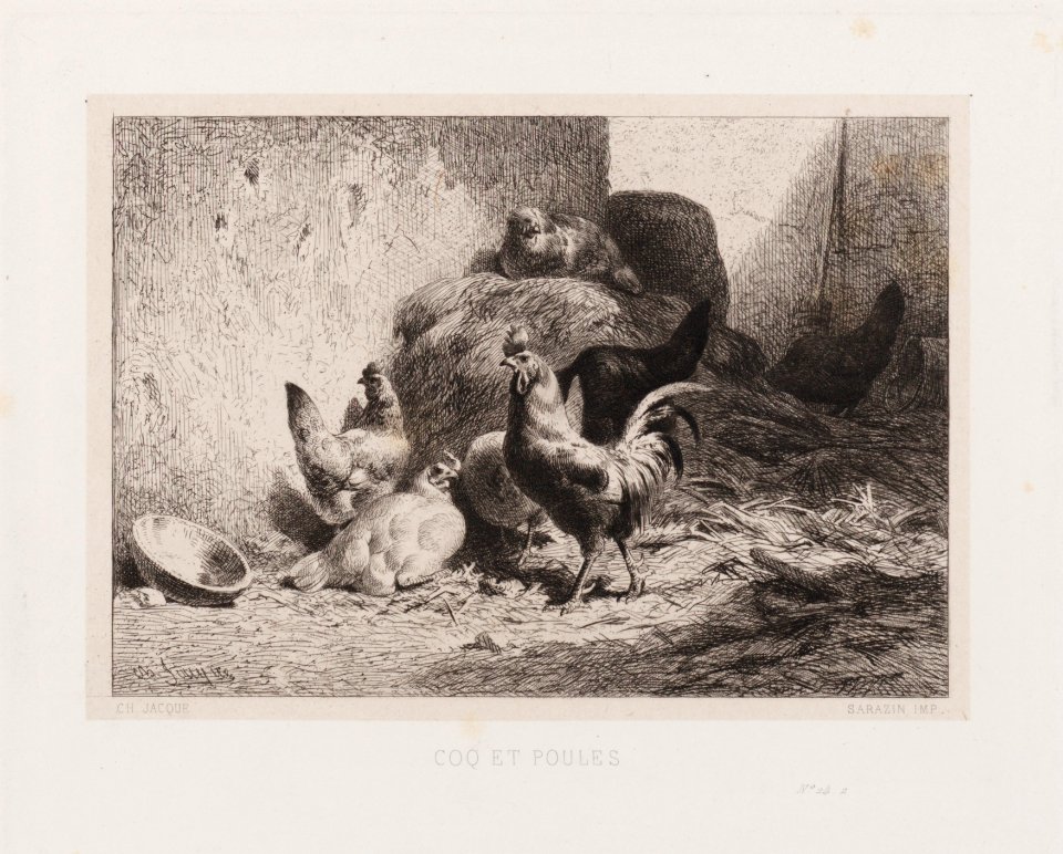 Coq et poules, objectnr A 15012
