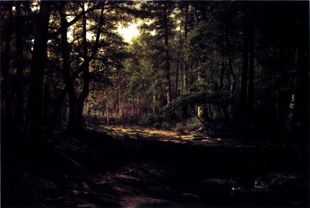 Corduroy Road