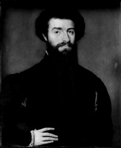 Corneille de Lyon - Sir John Chichester - Clark Art Institute