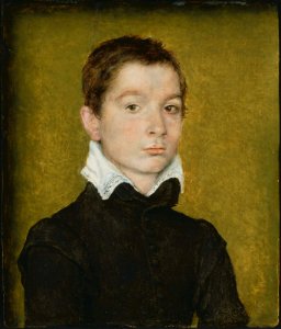 Corneille de Lyon (attributed) - Portrait of a Young Man - MFA Boston. Free illustration for personal and commercial use.