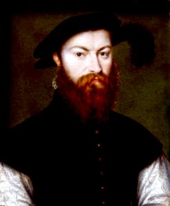 Corneille de Lyon - René de Batarnay, Comte du Bouchage - 44.539 - Museum of Fine Arts