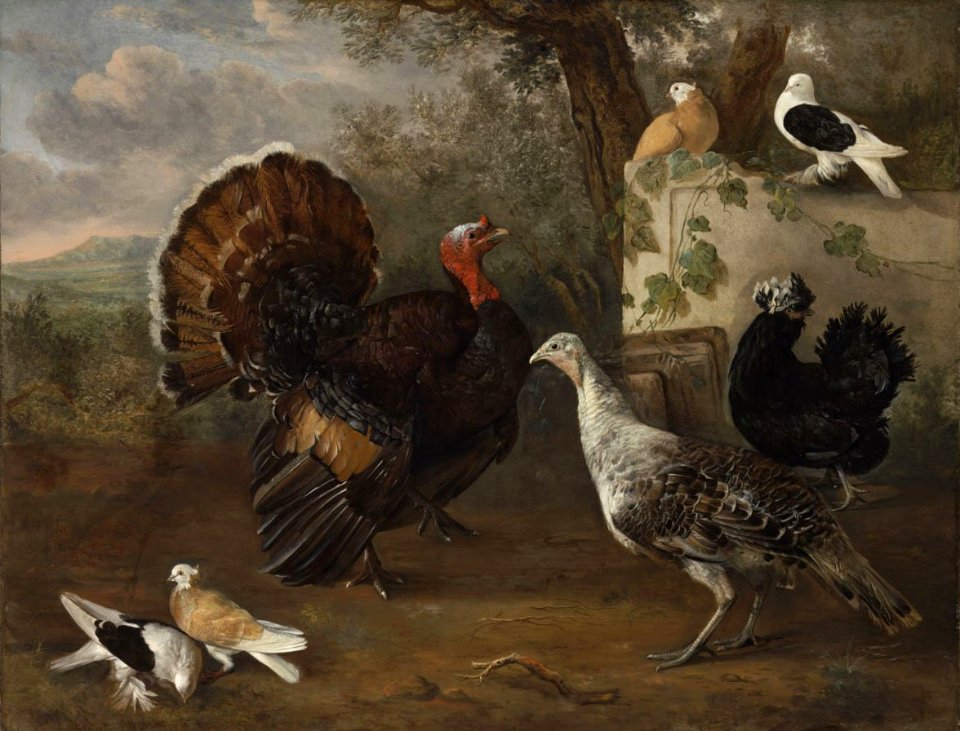 Cornelia de Rijck - Fowls 186