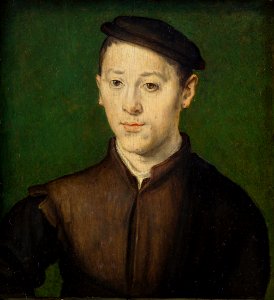 Corneille de la Haye, gen. Corneille de Lyon - Junger Mann - GG 896 - Kunsthistorisches Museum