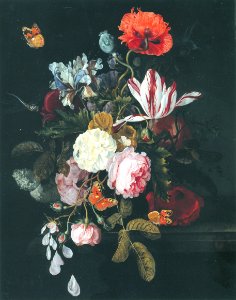 Cornelis Kick 01