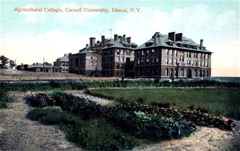 Cornell - Agricultural College