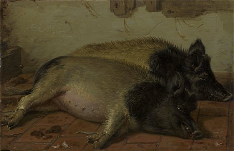 Cornelius Saftleven (Gorinchem 1607-Rotterdam 1681) - Two Pigs - RCIN 406509 - Royal Collection