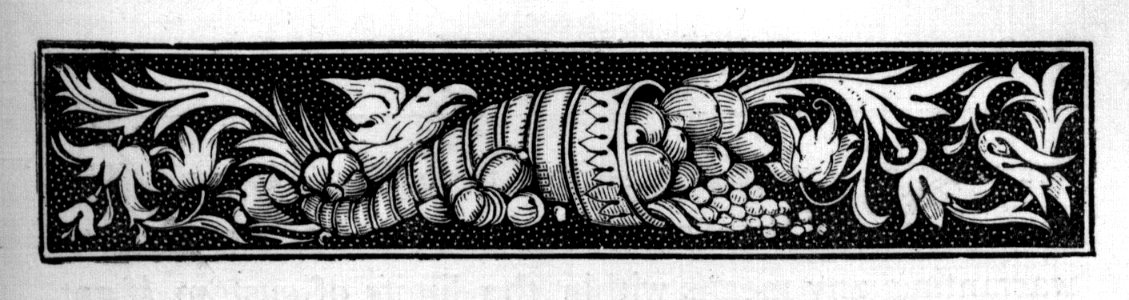 Cornucopia border 2 - Memorials of the Tower of London