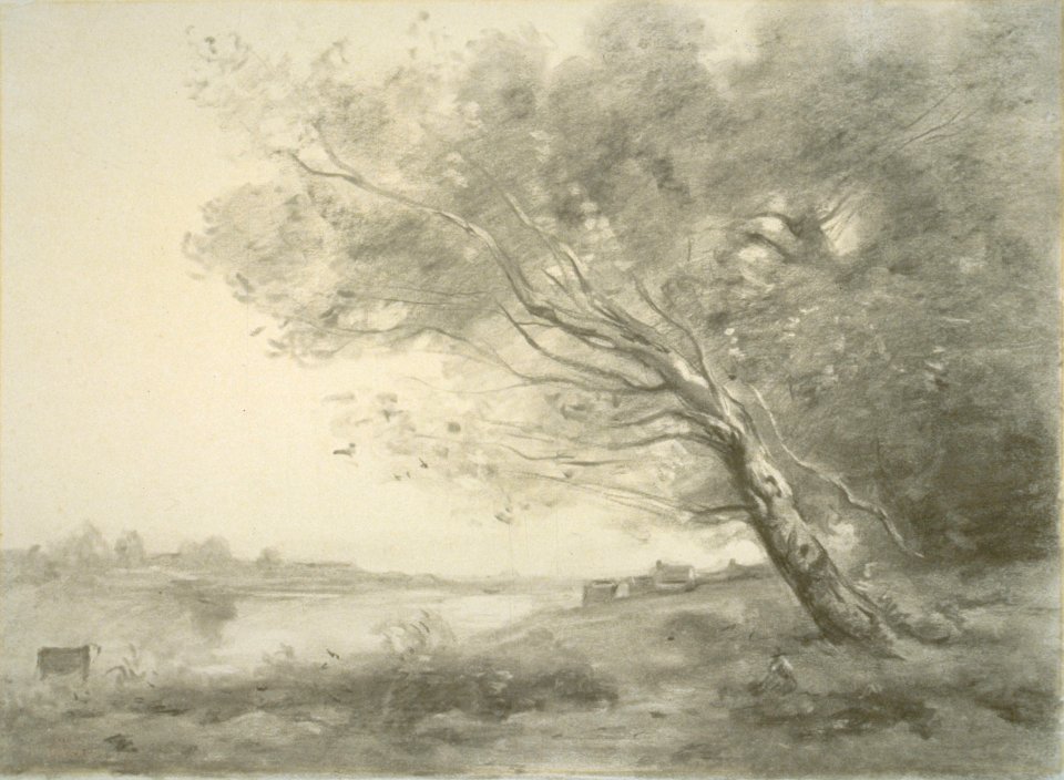 Corot - Bent Tree by the Water, 1860-70, 1969.20