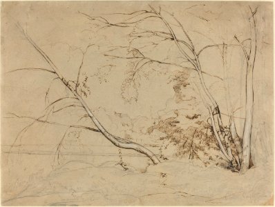 Corot - Clump of Trees at Civita Castellana, 1826