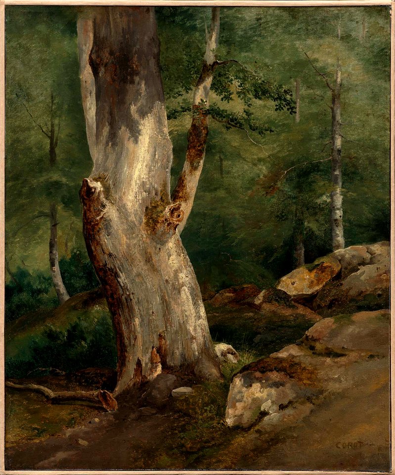 Corot - Old Beech Tree, about 1828–30