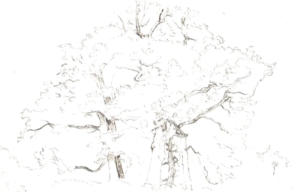 Corot - Robaut, tome I, p. 059-1