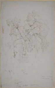 Corot - Study of trees poplar, August 1826