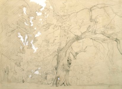 Jean-Baptiste-Camille Corot - Young Man in front of a Great Oak - Google Art Project
