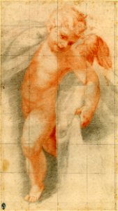 Correggio - Ascribed to - A putto standing holding drapery, 1900,0824.120