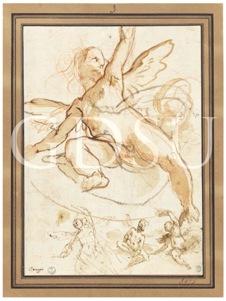 Correggio - inv 8975 S r.