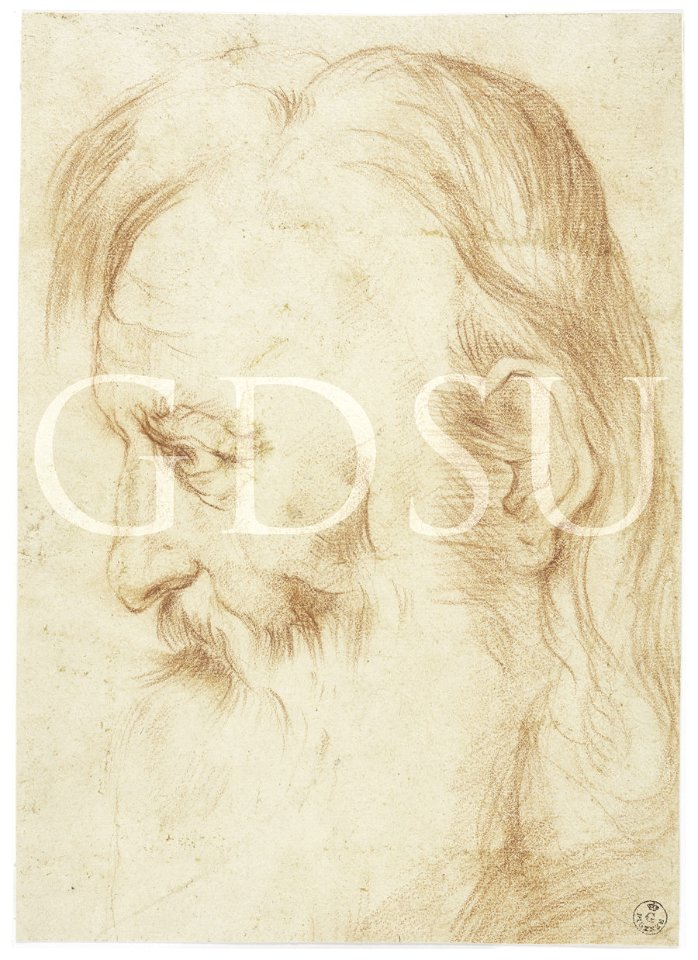 Correggio - copia da - inv 14681 F