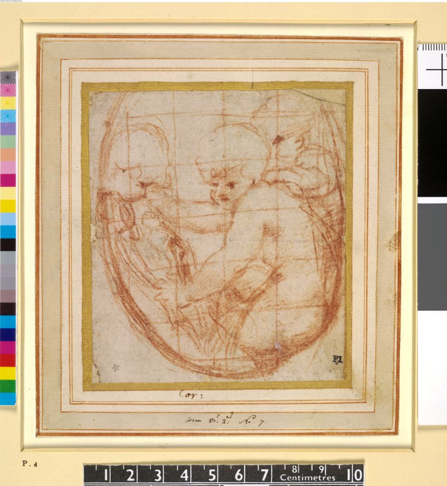 Correggio - Three putti, one looking to front, oval, 1922,0209.93
