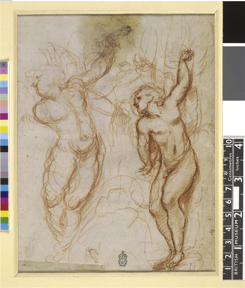 Correggio - Verso Two studies of Cupid bound to a tree, 1953,1212.1