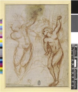 Correggio - Verso Two studies of Cupid bound to a tree, 1953,1212.1