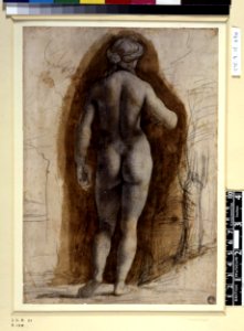 Correggio - Attributed to - A standing nude woman, seen from behind, her right arm raised, 1895,0915.490