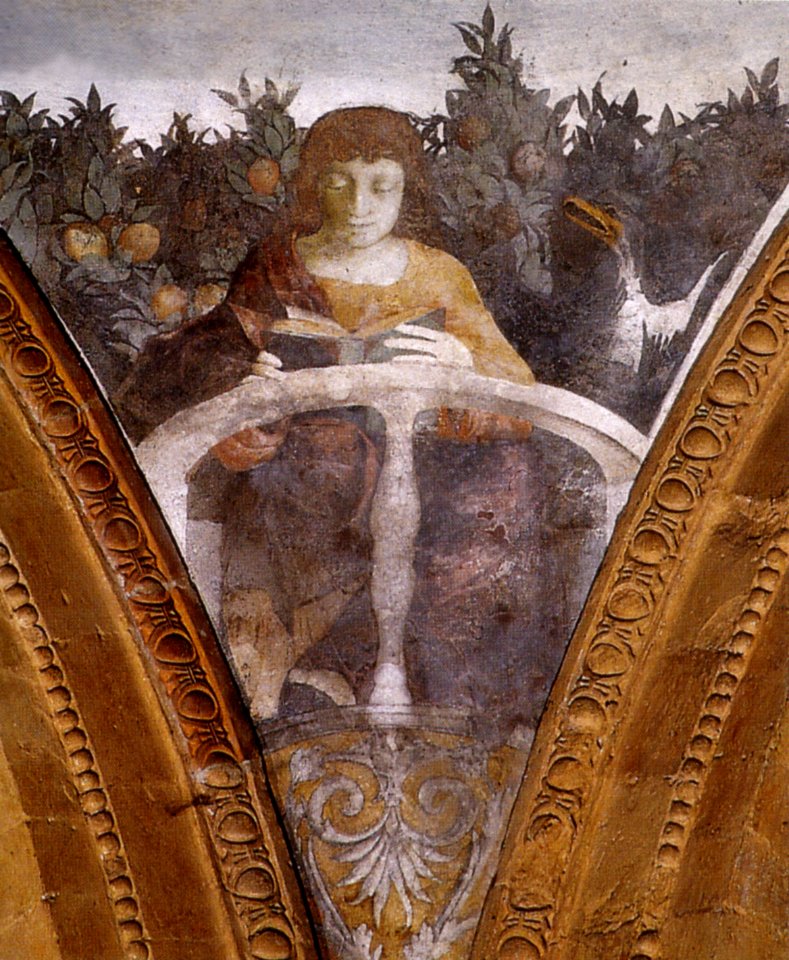 Correggio, cappella funeraria del mantegna, evangelista giovanni