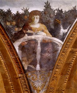 Correggio, cappella funeraria del mantegna, evangelista giovanni
