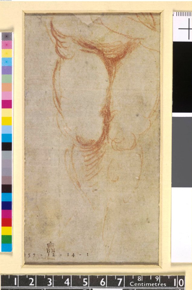 Correggio - Verso The lower part of a female figure, 1957,1214.1