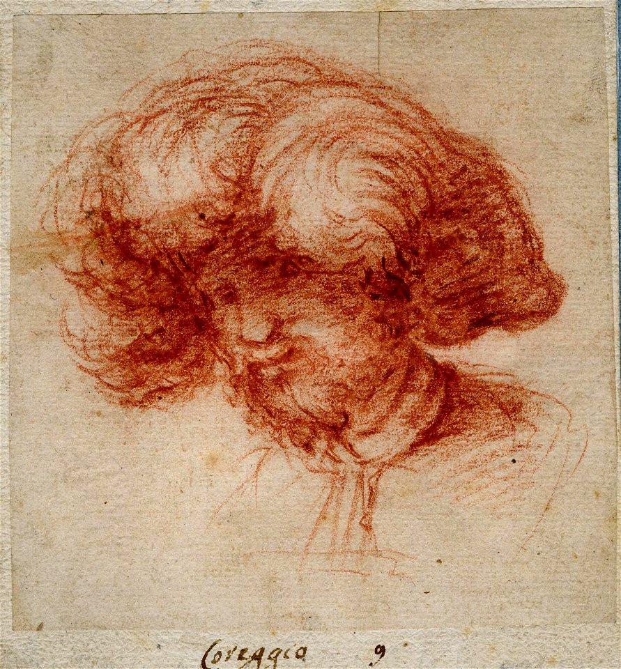 Correggio - Attributed to - Head of a bearded man in a feathered cap, 1997,0712.43