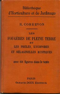 Correvon - Les fougères