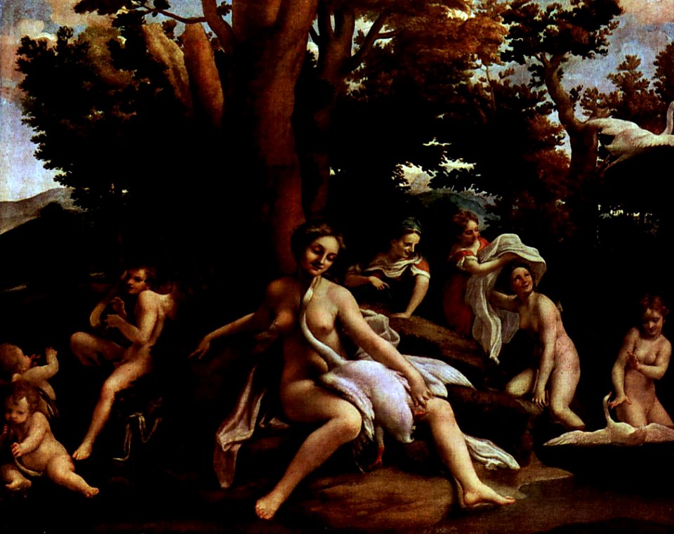 Correggio 038