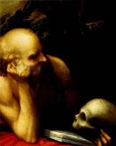 Correggio, san girolamo