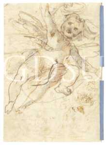 Correggio - inv 8975 S v.