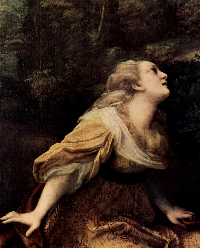 Correggio 057