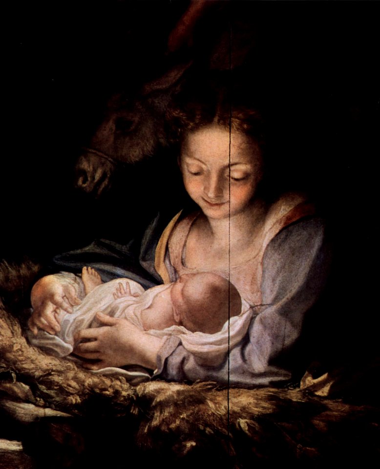Correggio 006