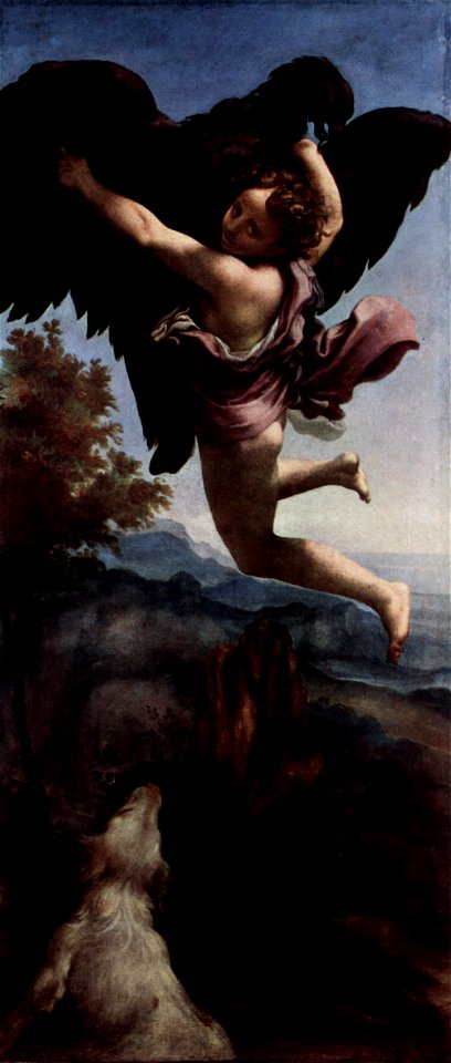 Correggio 026