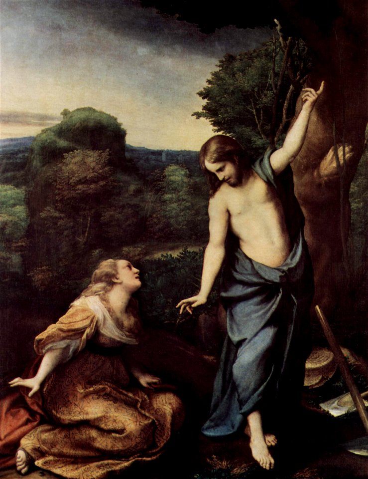 Correggio 056