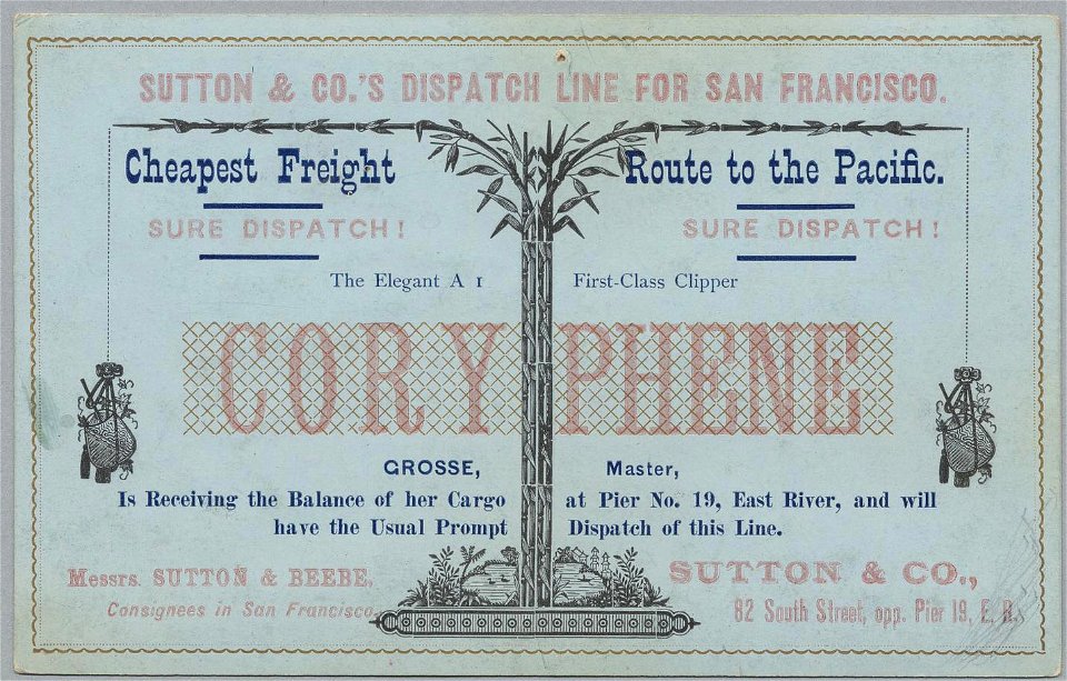 CORYPHENE Clipper ship sailing card HN002728aA