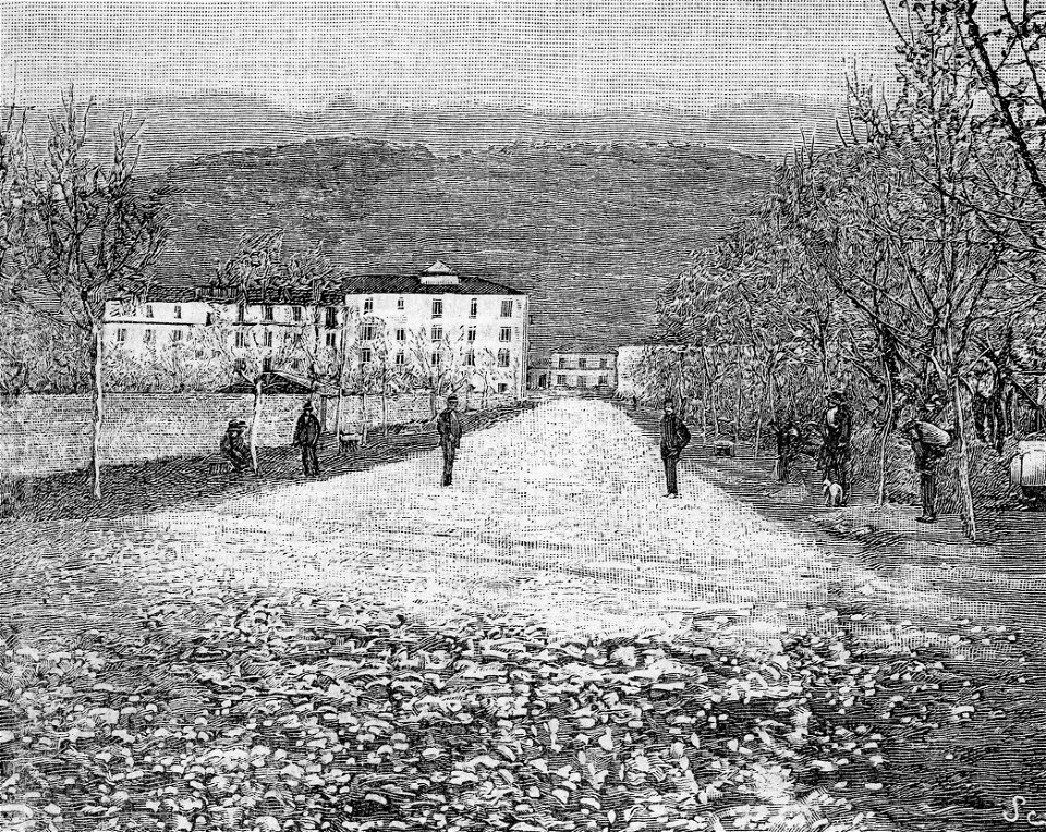 Cosenza – Viale dei Platani (xilografia)