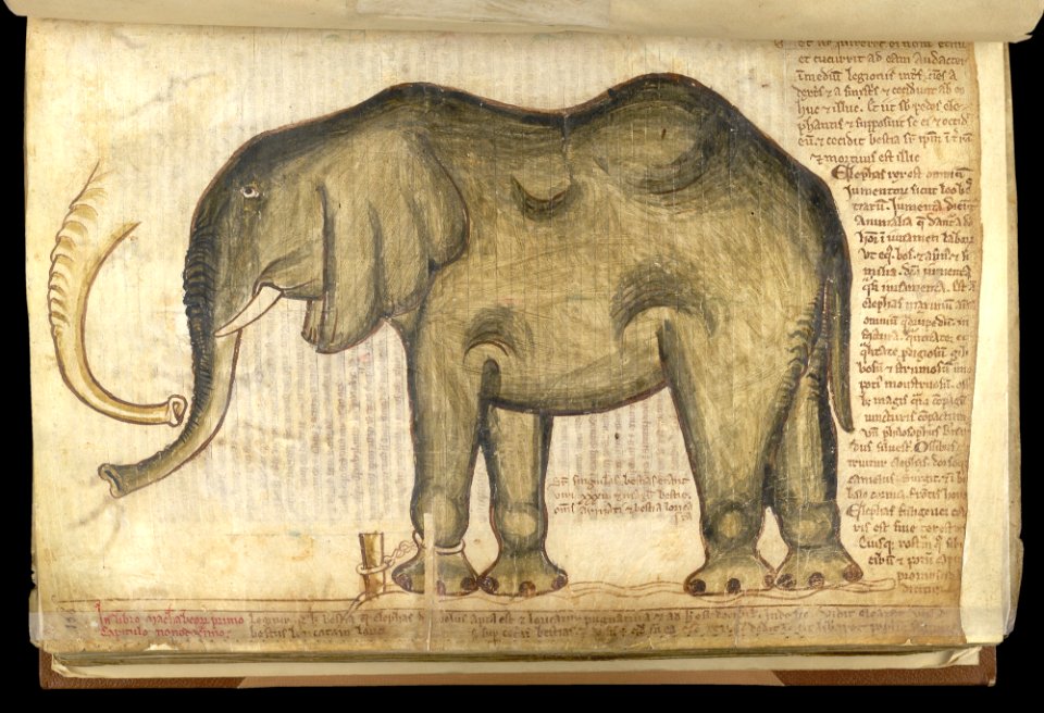 CottonMSNeroD.I. f.169v DetailElephant