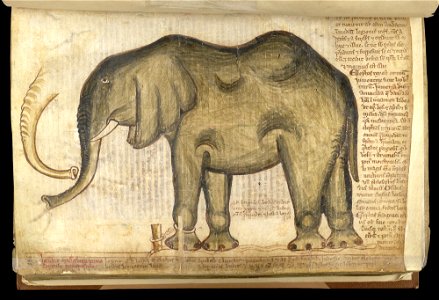 CottonMSNeroD.I. f.169v DetailElephant. Free illustration for personal and commercial use.