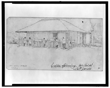 Cotton spinning, Mr. Reid's salt ponds LCCN2006676754