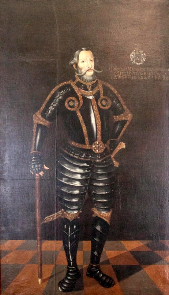 Count Tamás Nádasdy, Palatine of Hungary
