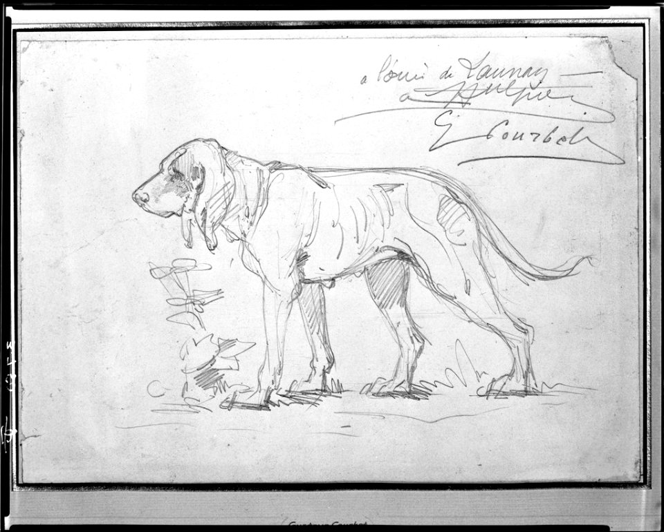 Courbet - Hound, 1943.789