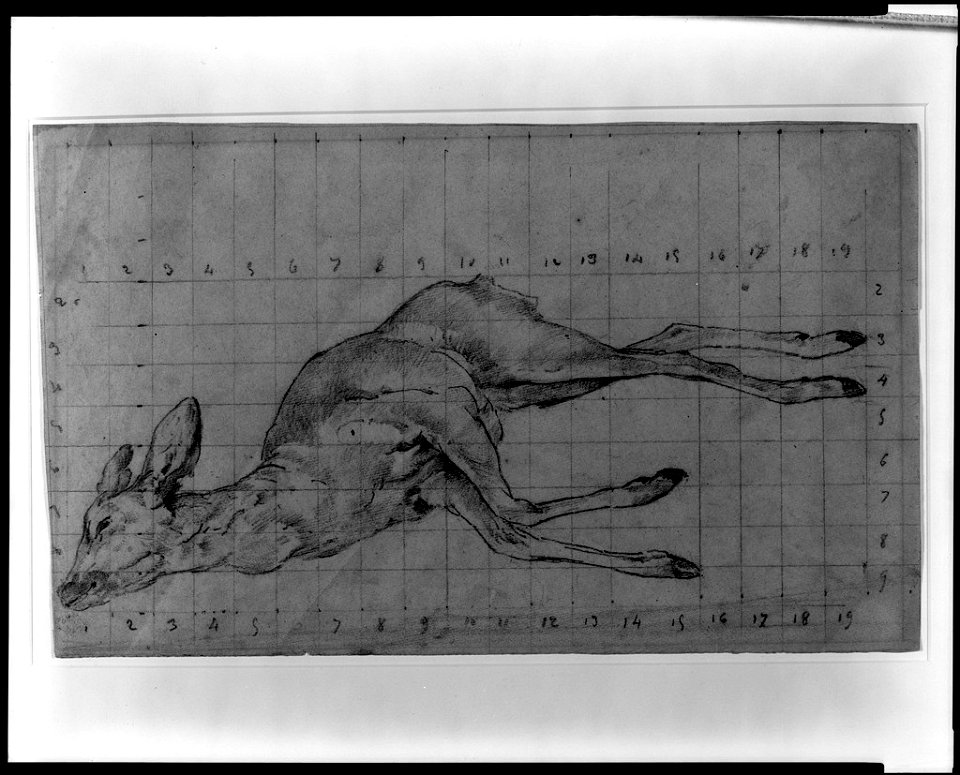 Courbet - Study for Hind Forced Down in the Snow, c. 1857