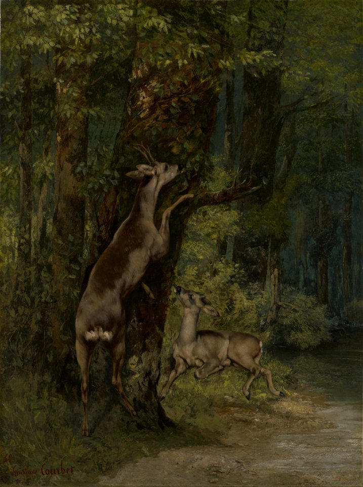 Gustave Courbet - Deer in the Forest - 14.76 - Minneapolis Institute of Arts